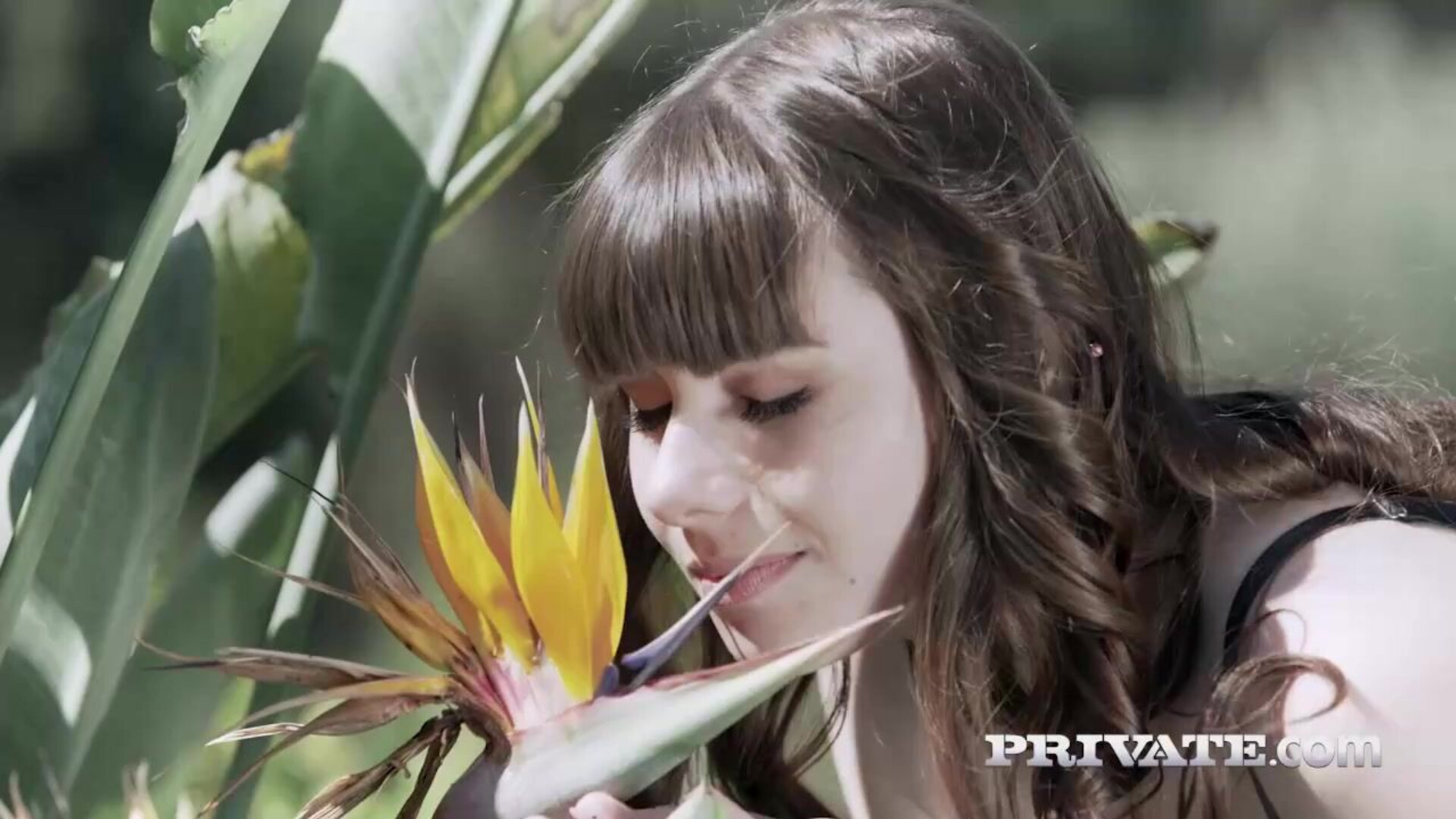 Luna Rival Anal Innocence 2 - threesome