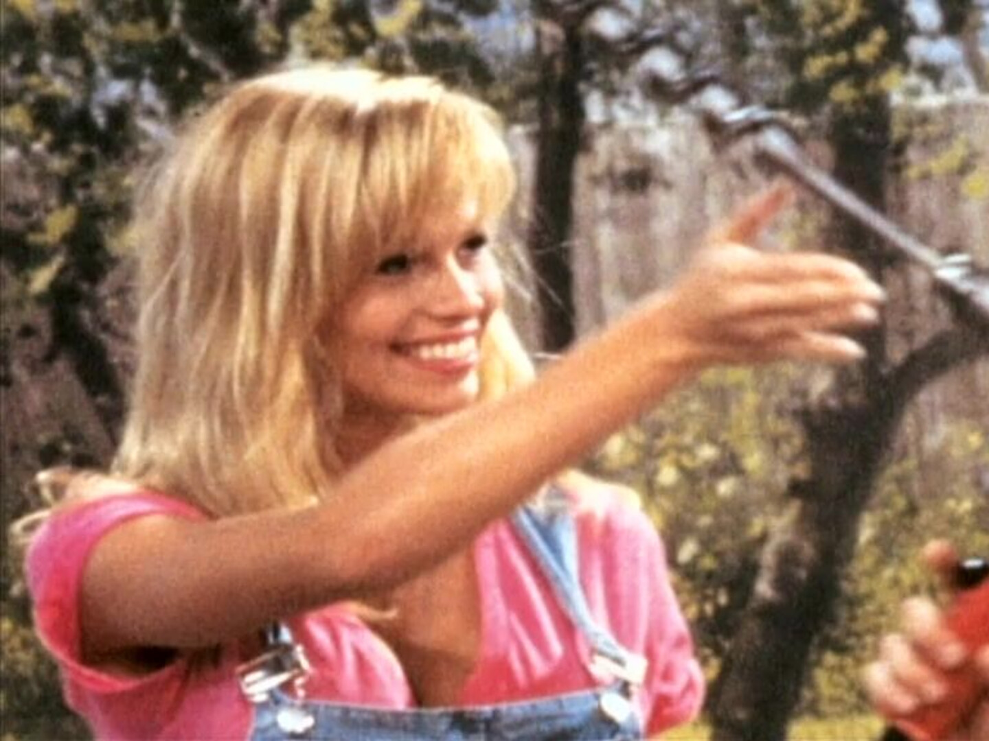 Pam Anderson Playboy Playmate - babe