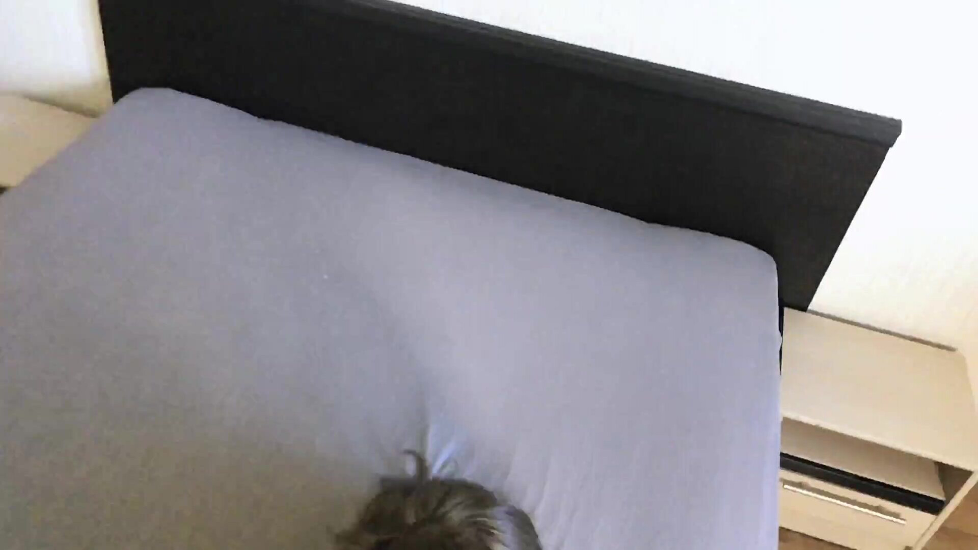 Sashadream69 fucked beauty in her mouth and pussy, after cum on her ass - hardcore - amateur - hd porn