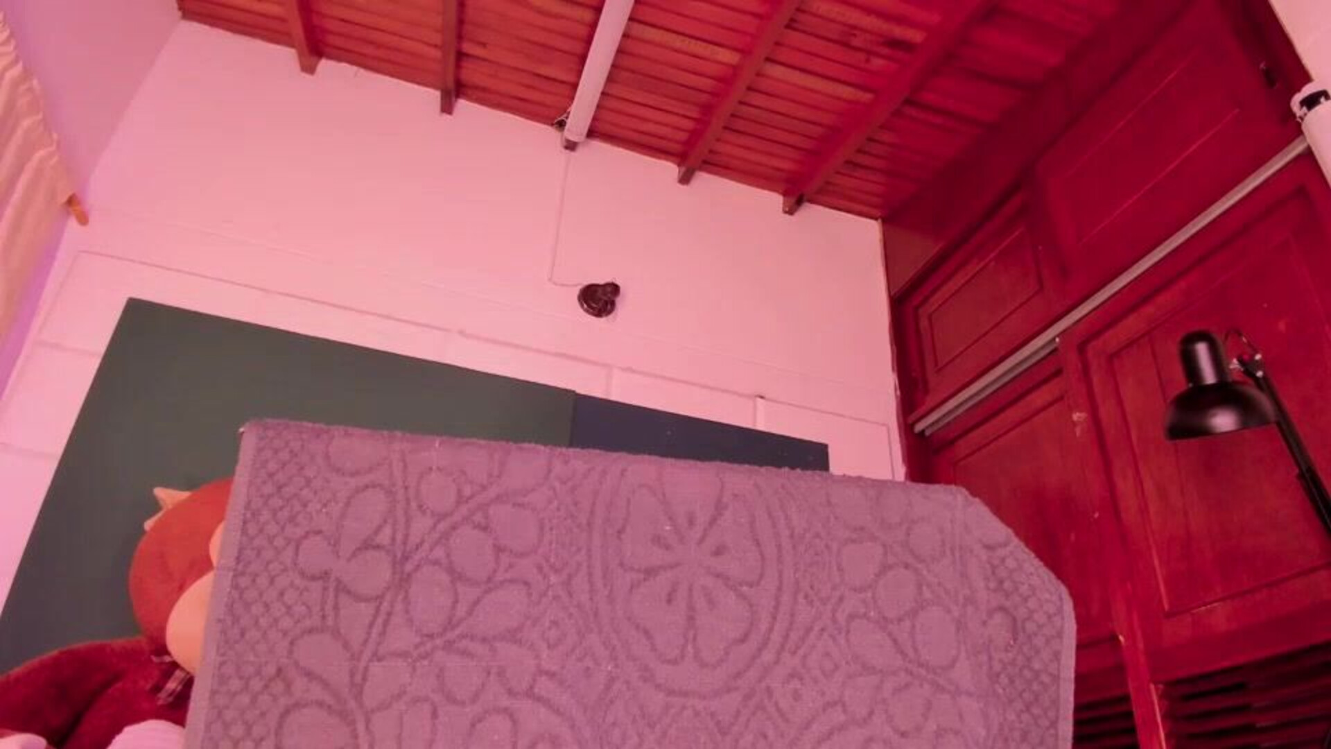 64byH4z3 2026 02 06 05 31 37 439 - webcam