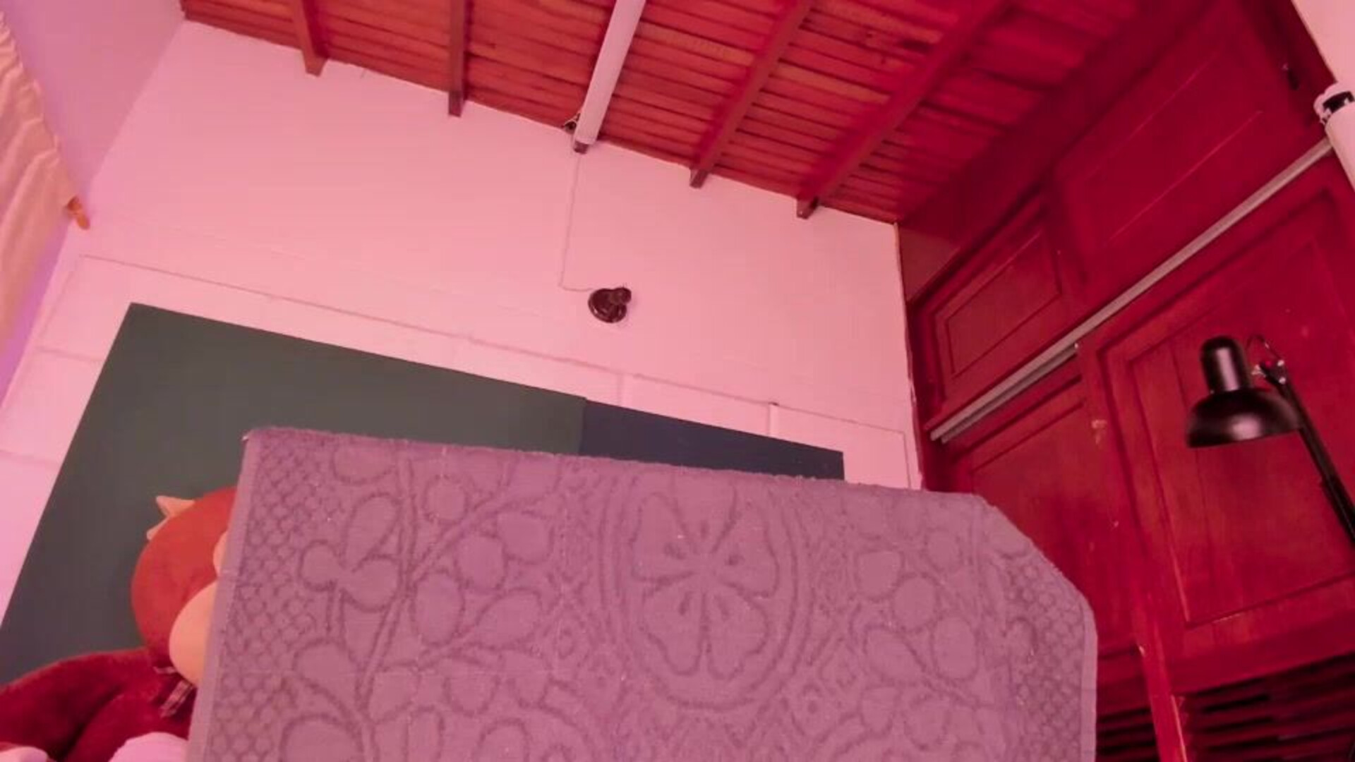 64byH4z3 2026 02 06 05 31 37 439 - webcam