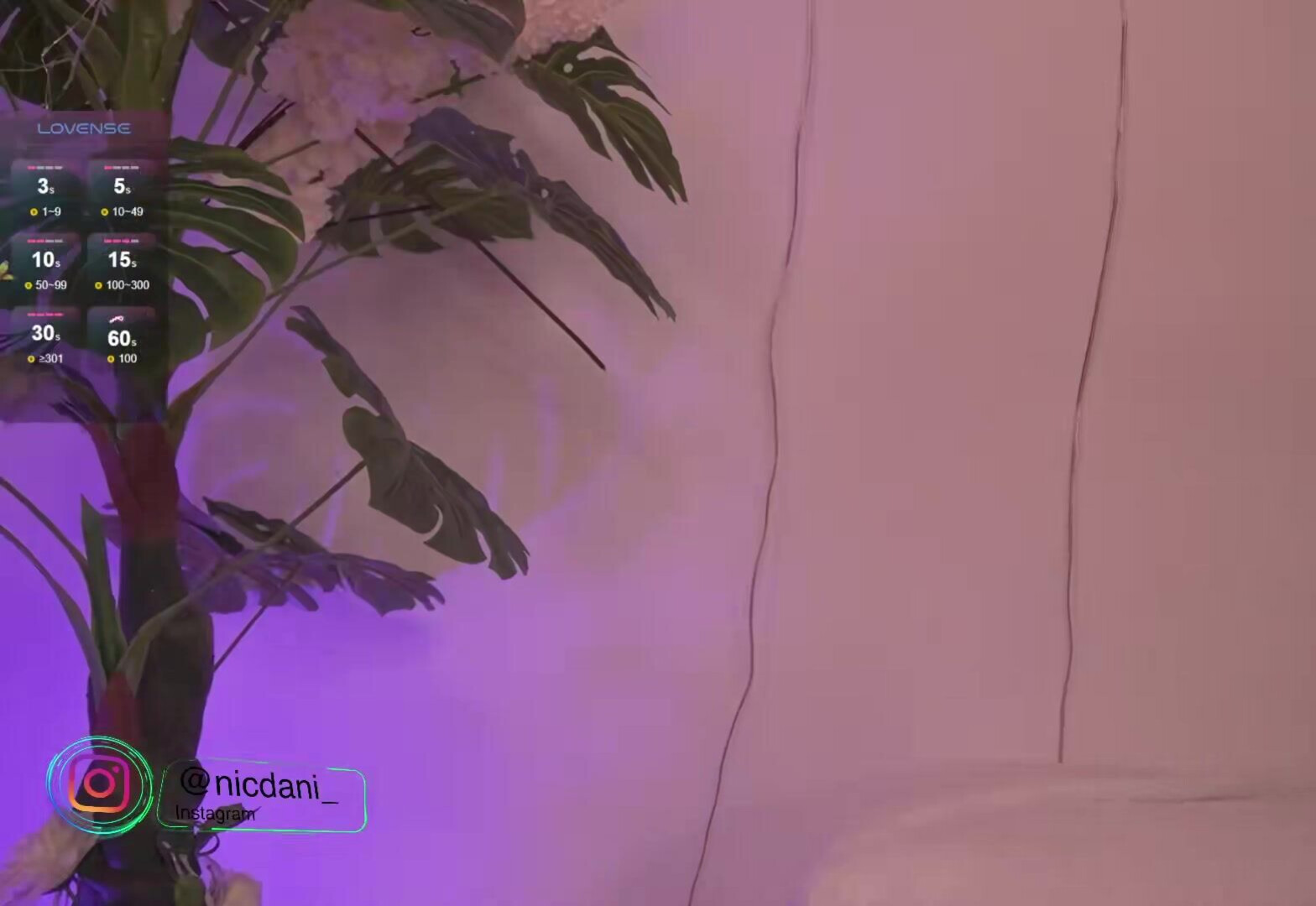 Nicdani 1 2024 06 07 05 41 - webcam - solo - toys