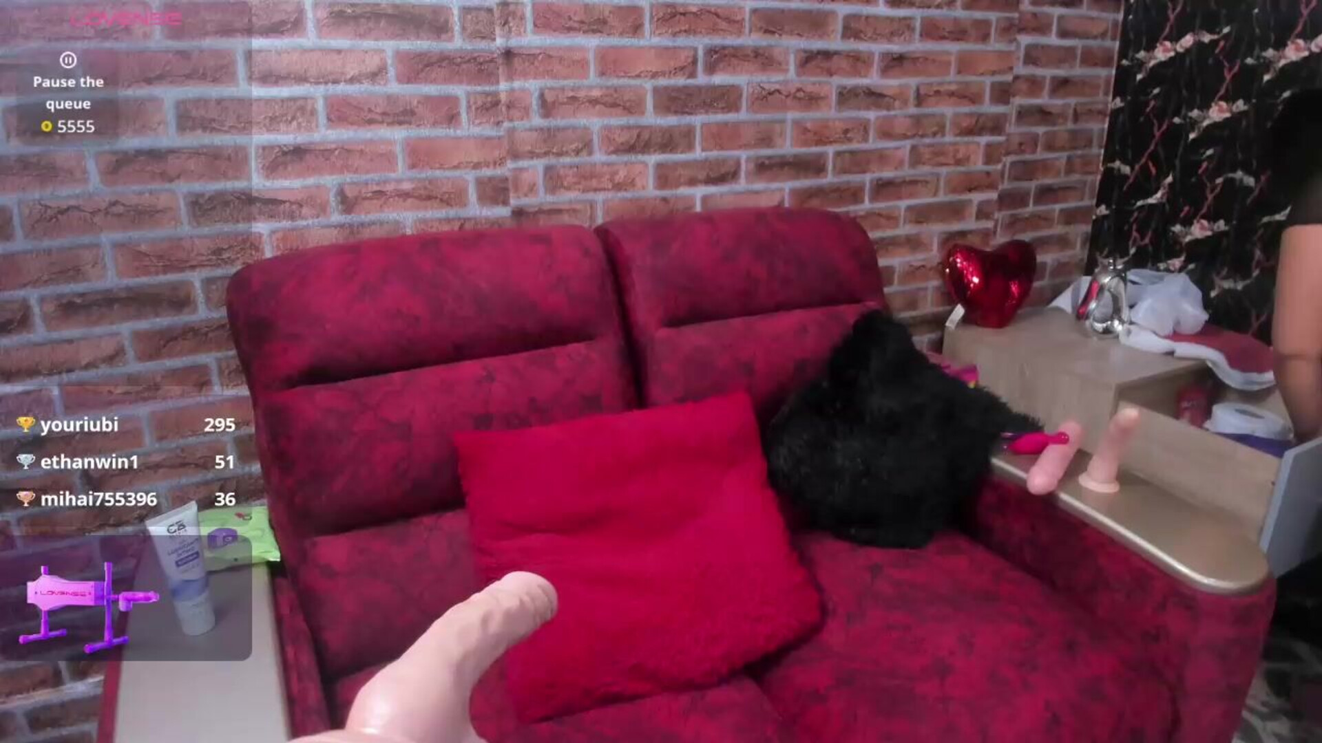 miss walker 2026 01 09 14h21m58s - webcam
