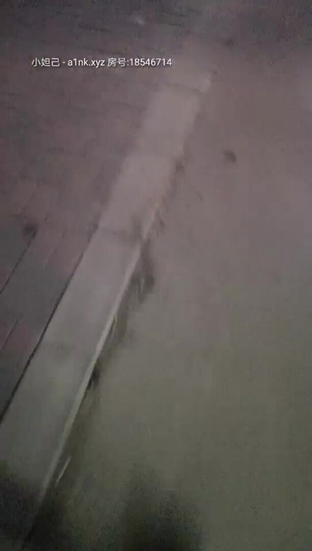 原版 20210335 小鸡寻花 啪啪 Collection Of Homemade Selfies And Sneak Shots - asian - hardcore