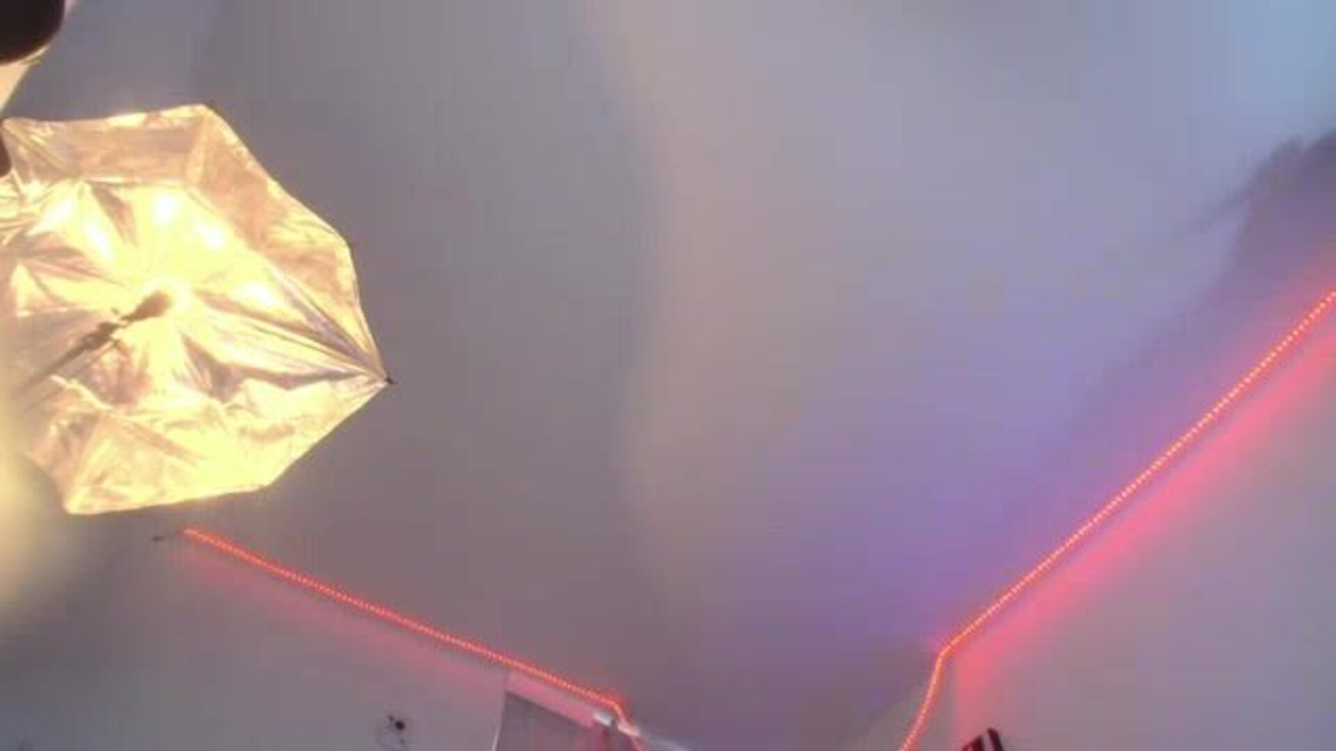 PoisonlLizzy 2026 01 28 15 49 20 335 - webcam