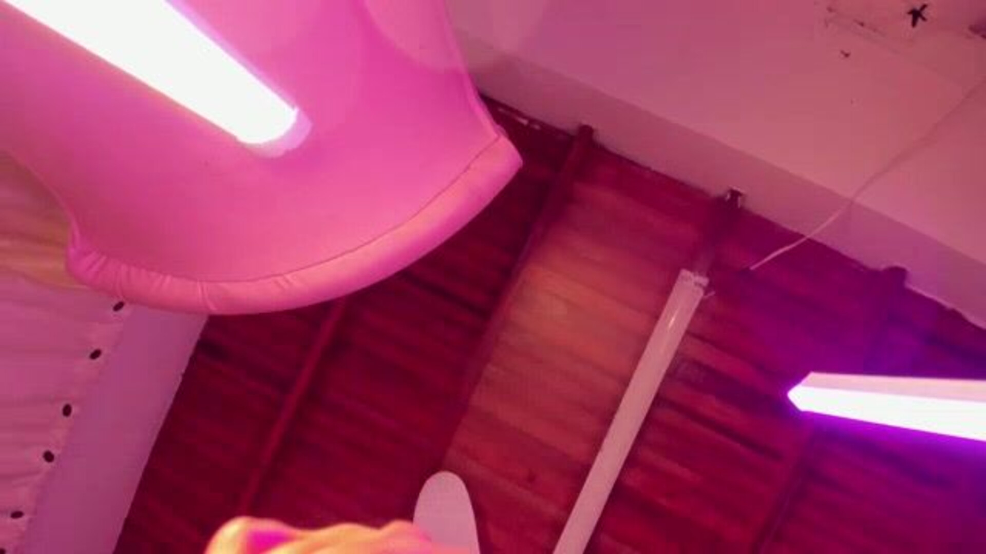 64byH4z3 2026 02 12 04 10 58 944 - webcam