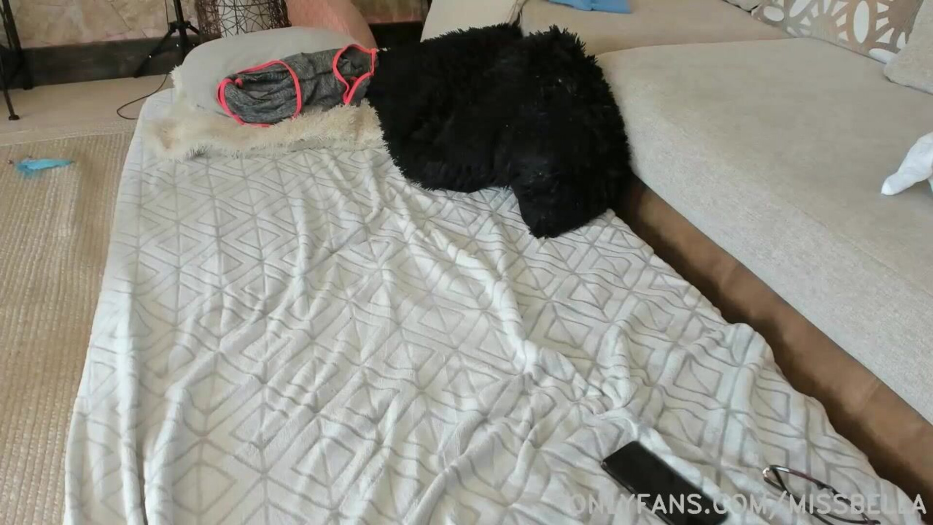 Camshow BellabrookzMissBellaballabbzmissbella - babe