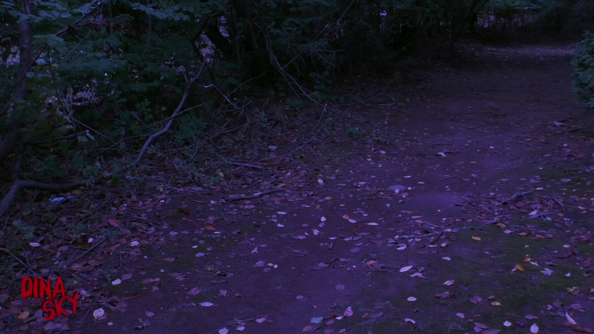 ClubDinaSky Red Riding Hood Cosplay Masturbation Bad Dragon Dildo - amateur - solo - big tits