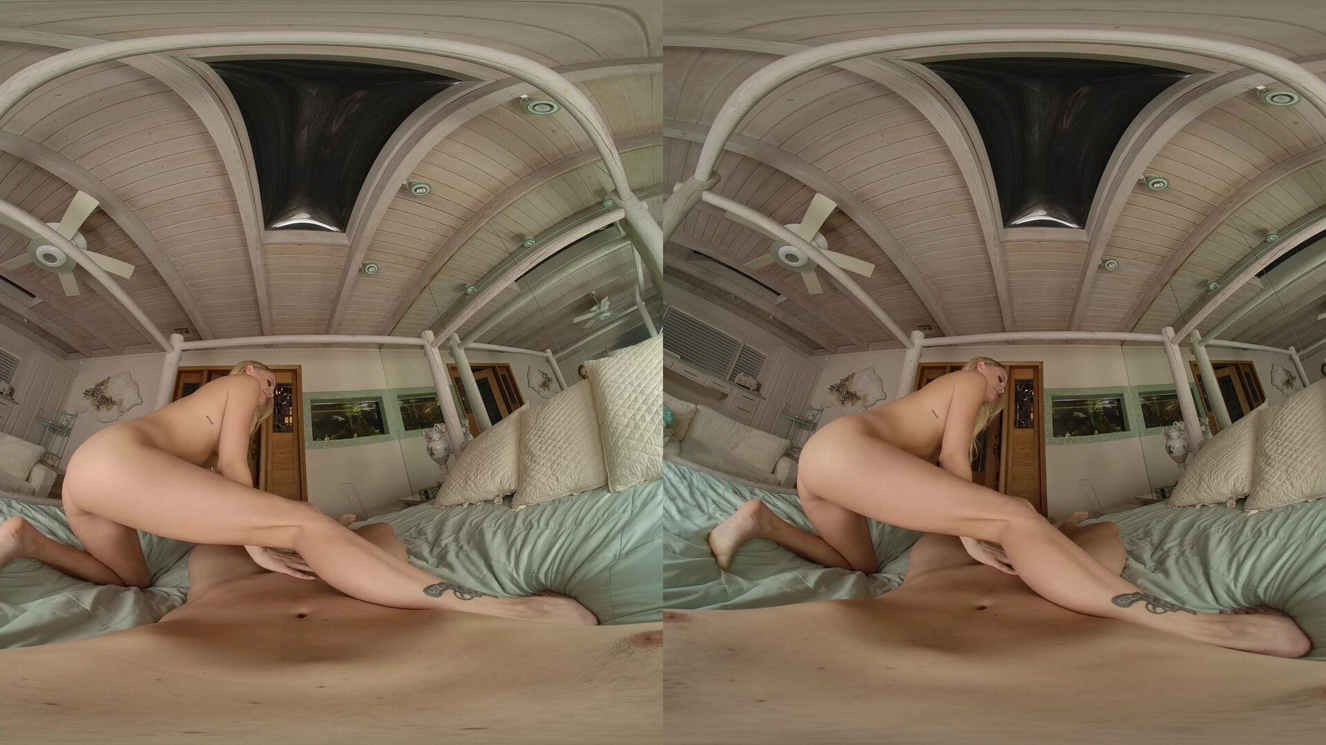 Evelyn Payne Payne & Pleasure - pov