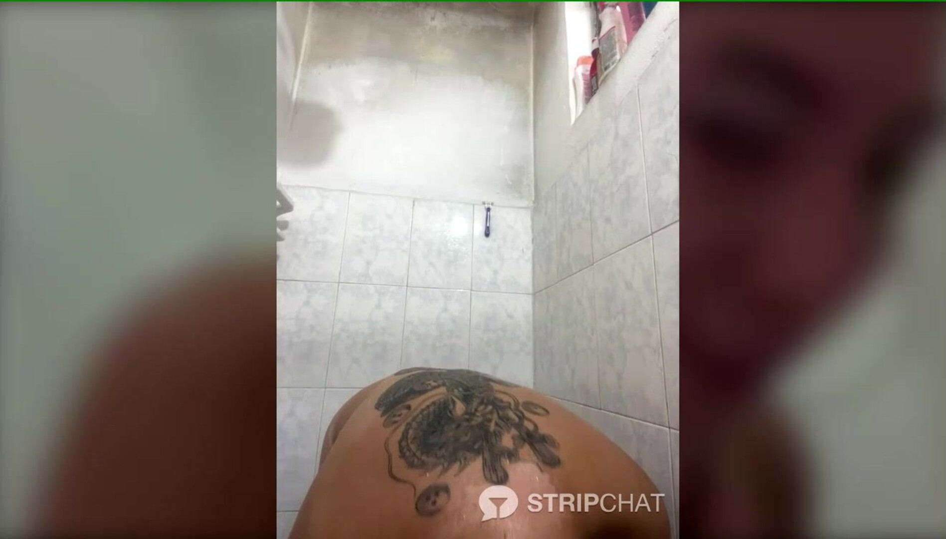 Kitty Melodi 8 3 2026 camgirl latina - cam - camgirl - webcam - latina - colombia - colombiana - ass - big ass - babe - boobs