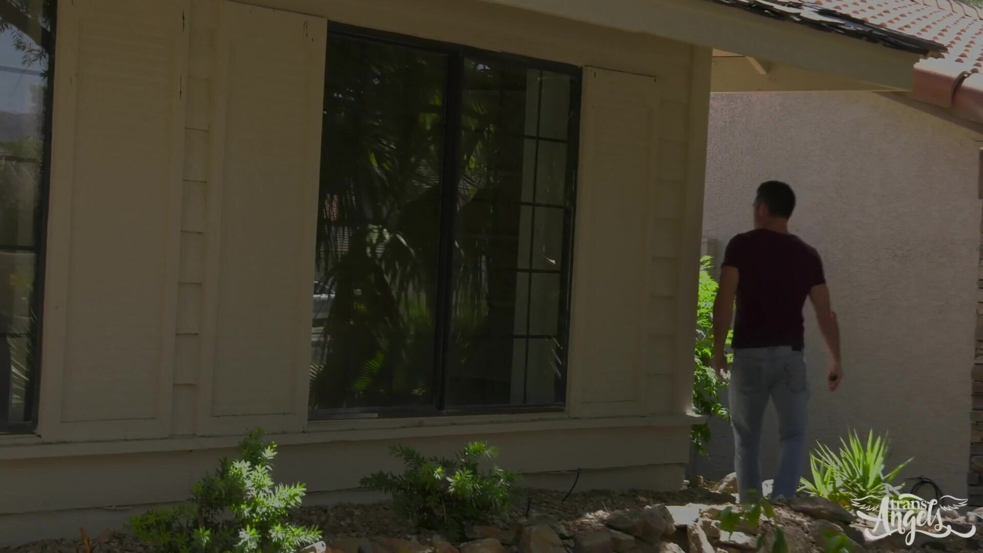 Shiri Allwood TS Neighbor Gets Peeped On and Gets Mouthful Lance Hart - anal - doggy - babe - bwc - hardcore - cum shot - bareback - balls deep - dick sucking - missionary