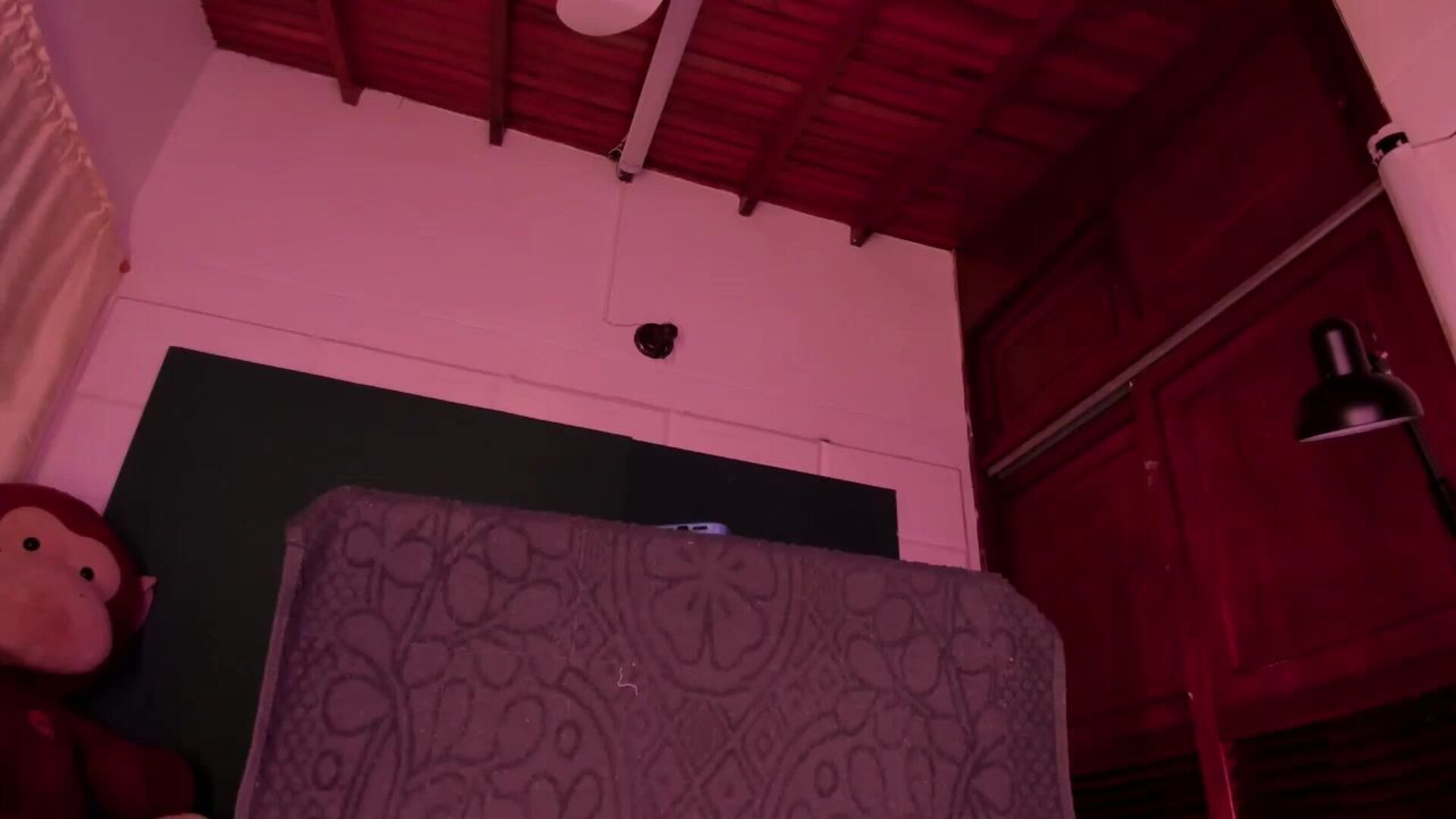 64byH4z3 2026 02 12 05 04 23 717 - webcam