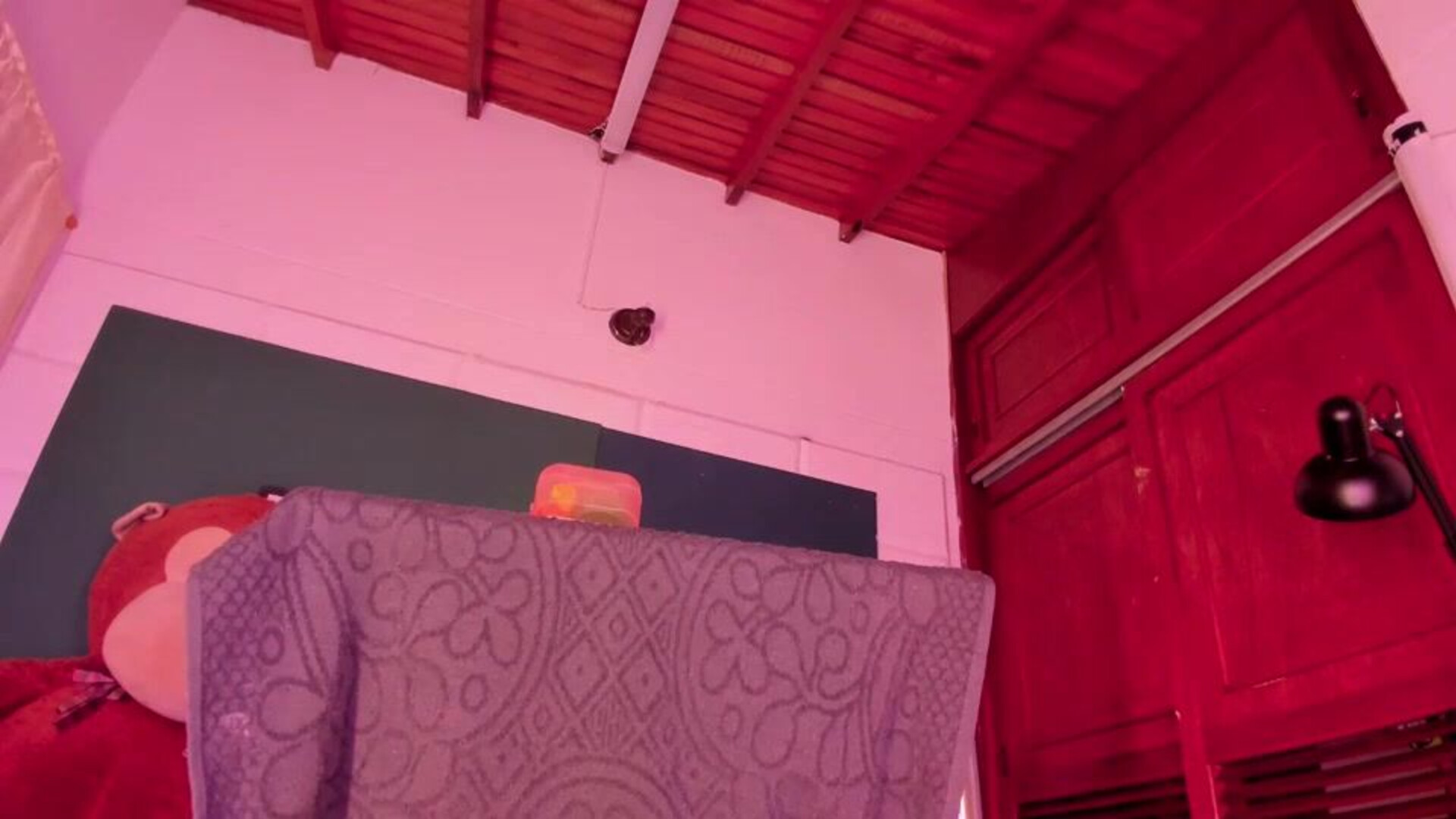 64byH4z3 2026 02 15 01 04 50 825 - webcam