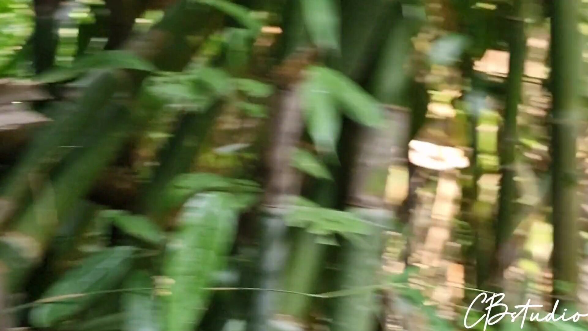 Cail Brodnevski Sex In The Jungle - blowjob - hardcore - amateur