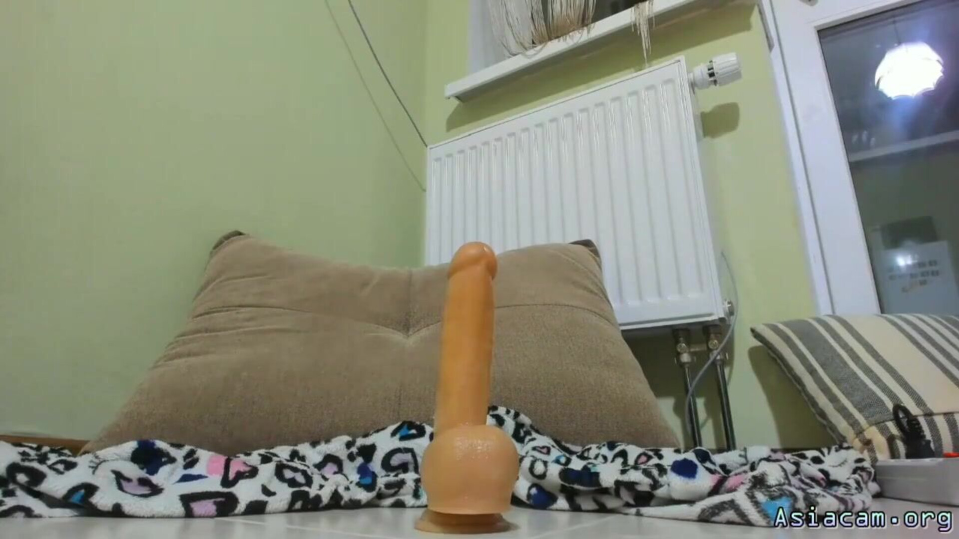 Pretty Pussy Search - braces - twerk - lush