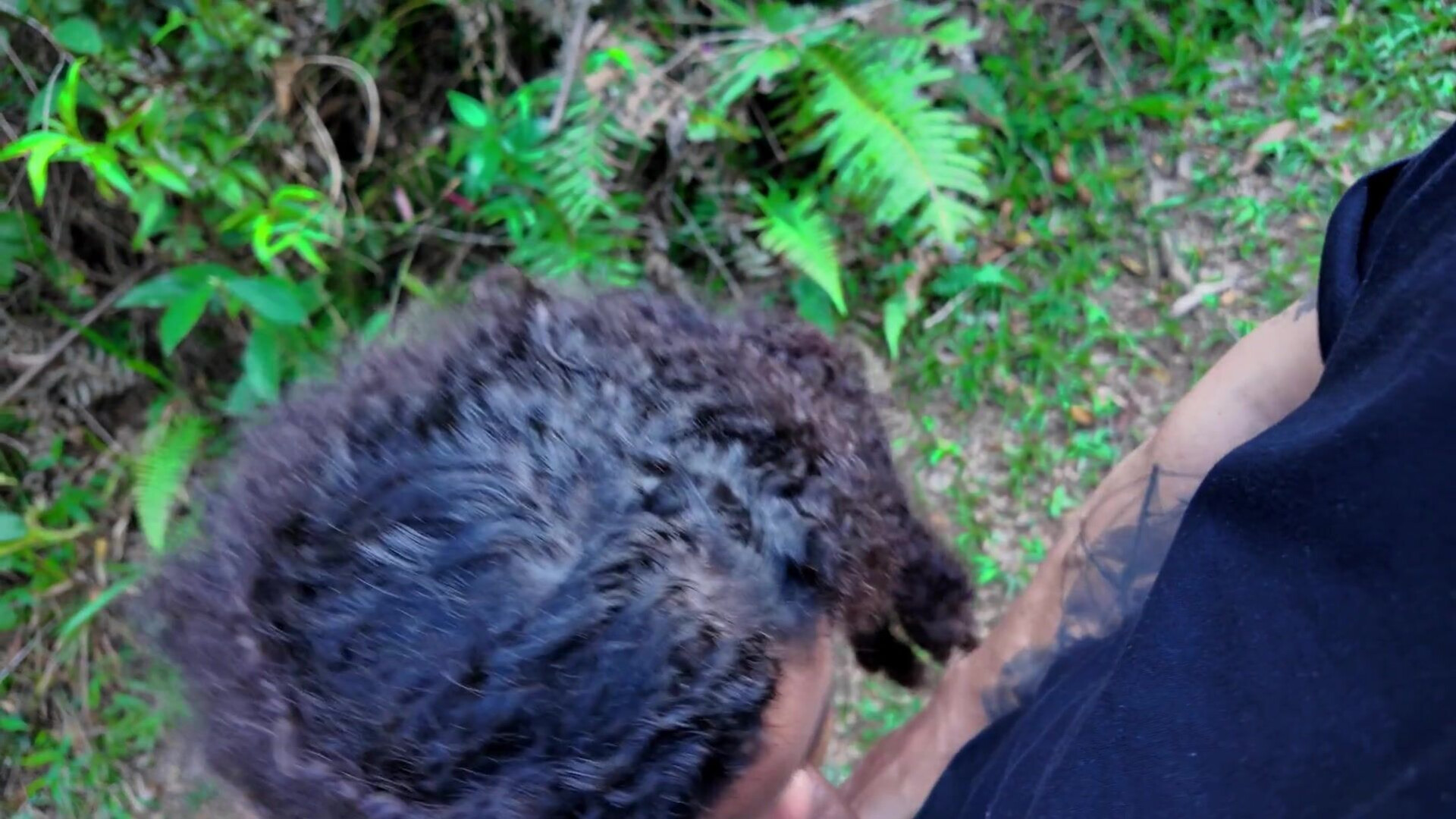 Sex with a BBW Tourist on a Forest Trail - outdoor - fat - latina - blowjob - pov