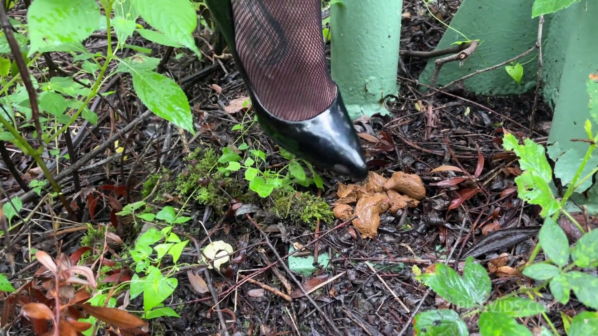 Claudia Mac Shitting piss Drinking Peeing - pee