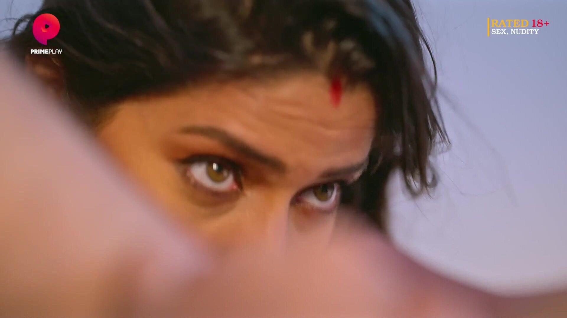 Pehredaar S0504 - ass