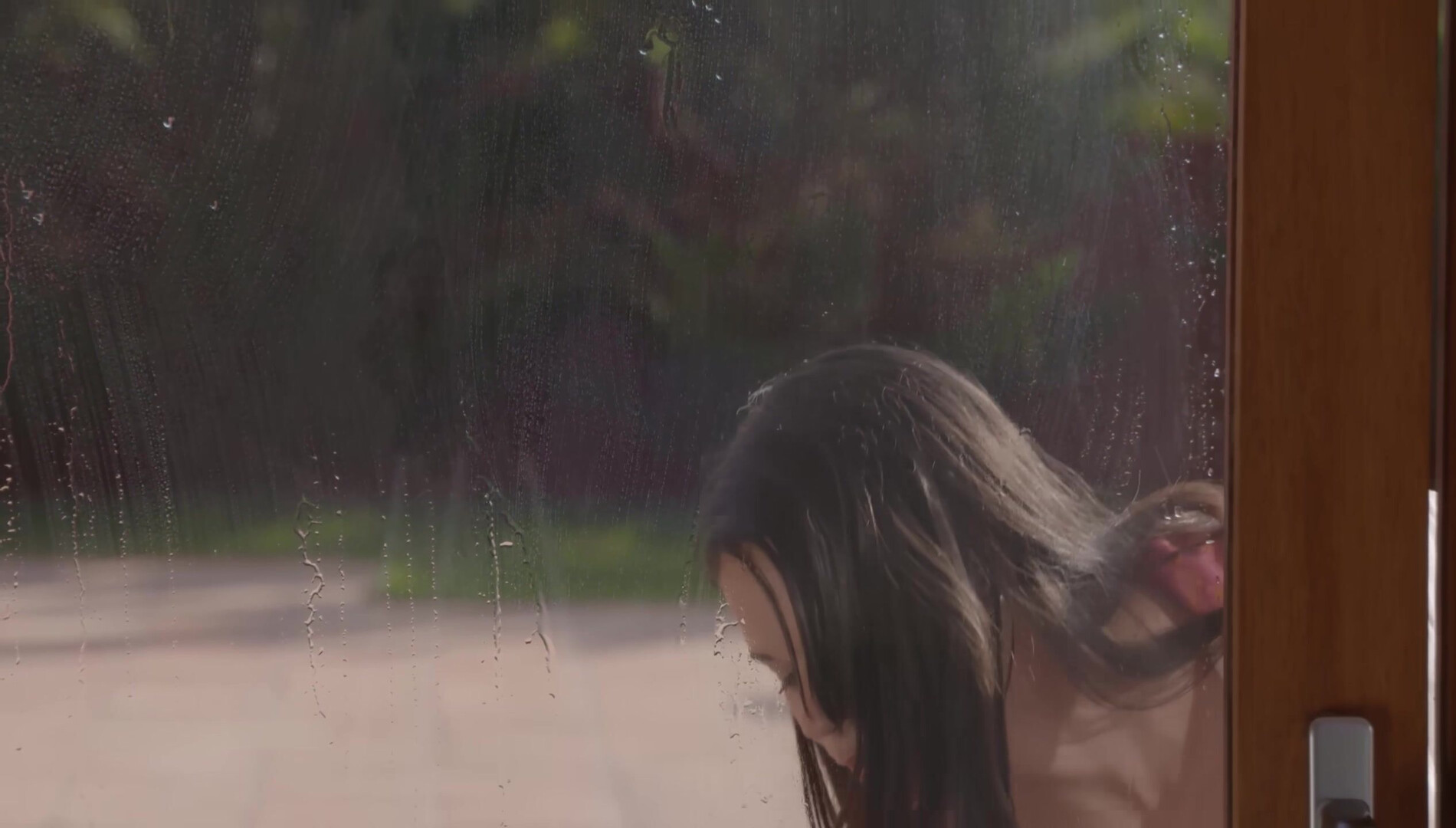 Window Cleaner - busty - big tits