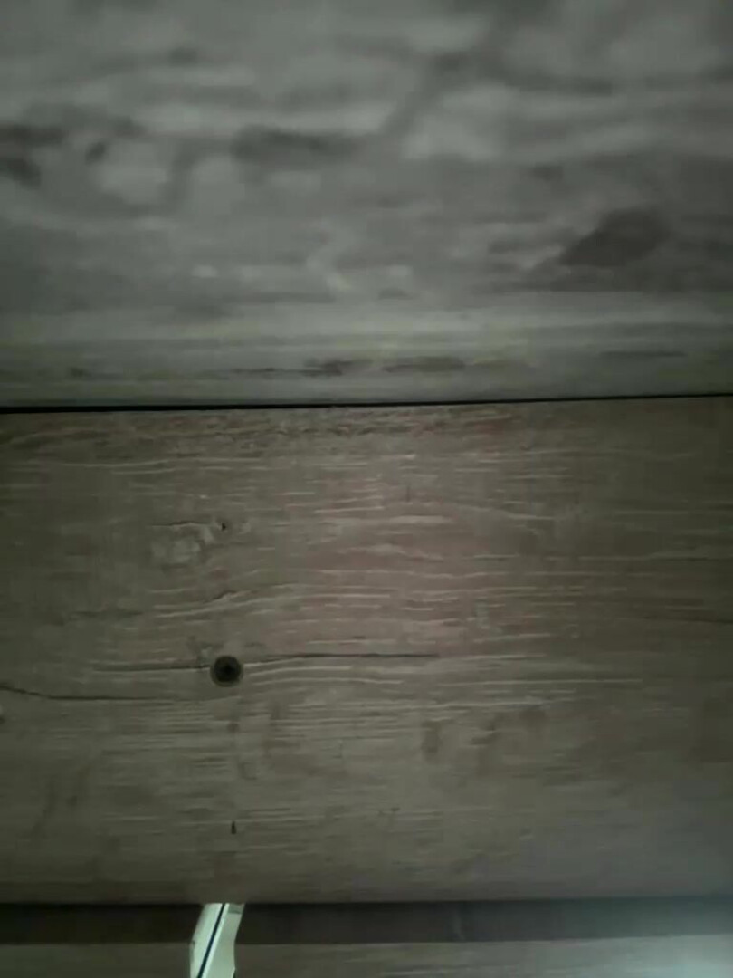 s61m94h50 81 40 6202 yleibanul - webcam
