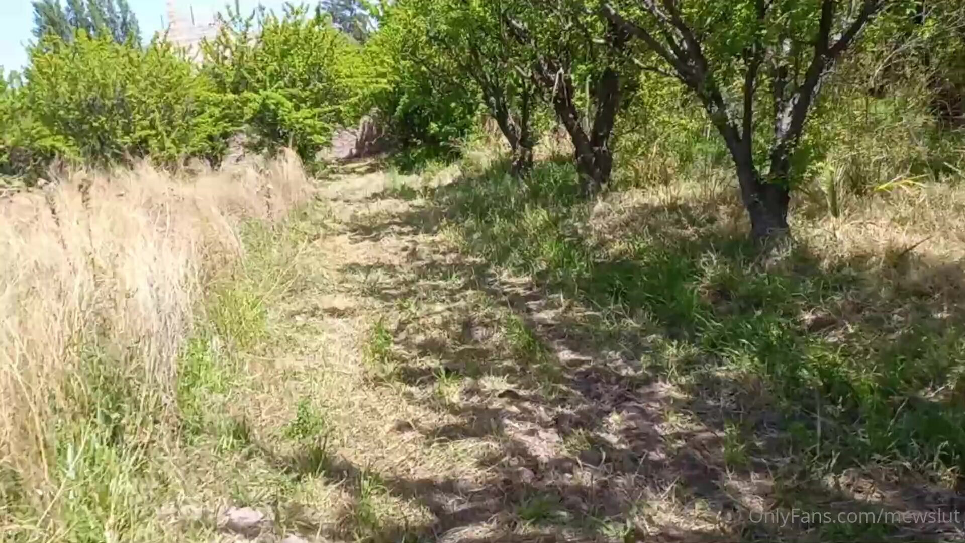 mewslut OnlyFans Yesterday We Went for a Walk Like Every Morning and We Sneaked I - mewslut - onlyfans - yesterday we went for a walk like every morning and we sneaked into a farm - it seemed very cal