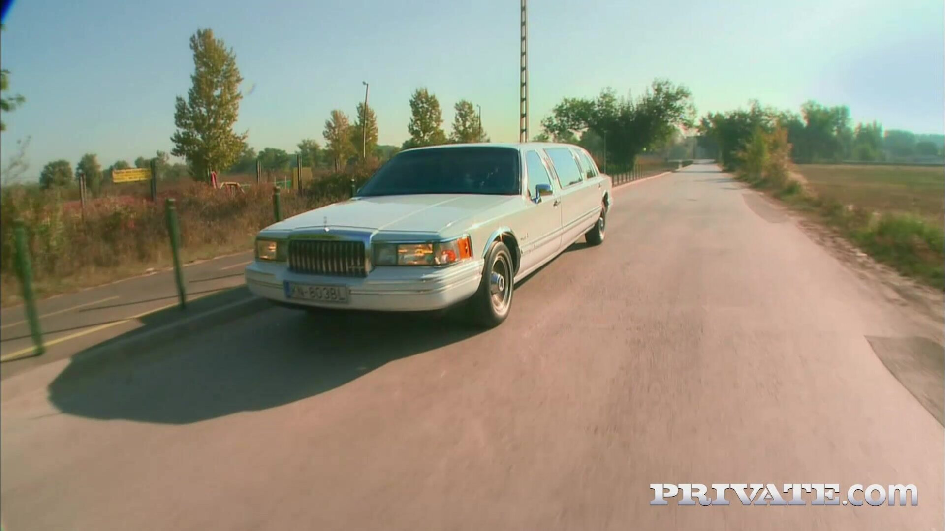 Aleska Diamond and Sabrina Sweet, Anal Threesome in the Limousine - hungarian - babe
