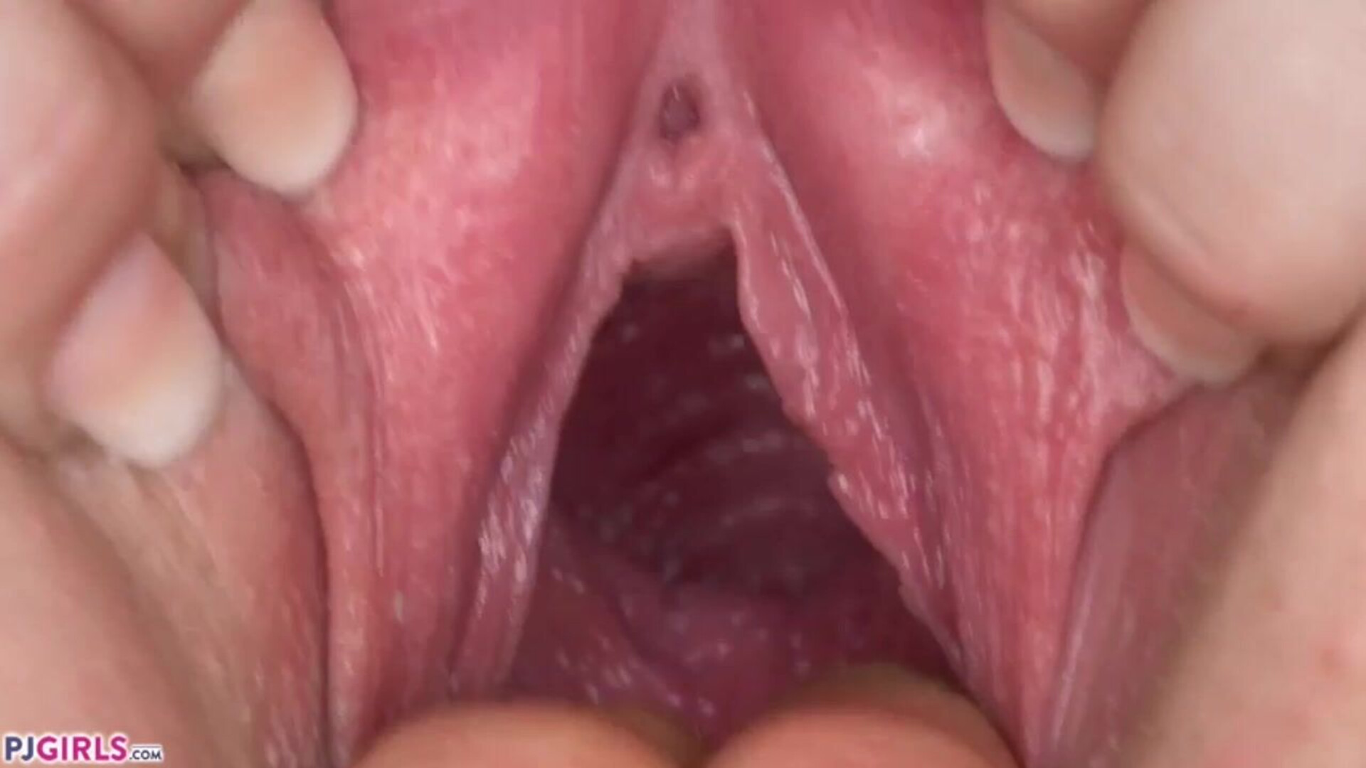 Marilyn Moore gives her Daddy an incest cunt show - cunt show - father - gaping - pussy - gape - incest - daddy - daughter