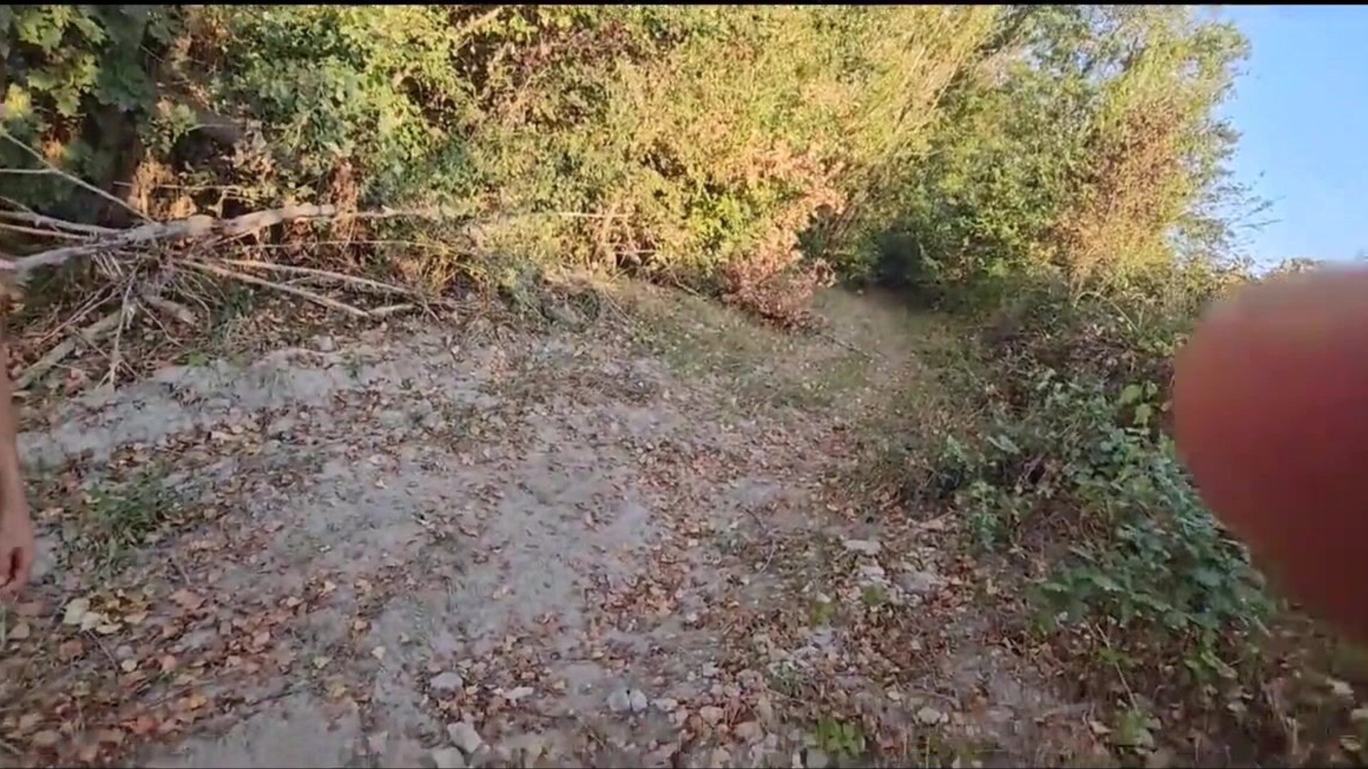 My fear of snakes is quite intense, yet the particular serpent I encountered in the f - amateur - blowjob - brunette - milf - deep throat - outdoor - wife - big cock - couple - cute