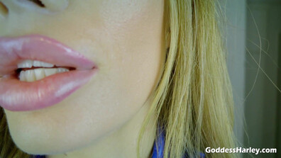 Amazonka Harley – Gra „Pogłaszcz czy nie” 1 – ManyVids – MILF – femdom – duże cycki – sprośne gadki – fetysz – sztuczne cycki – ujęcie z perspektywy pierwszej osoby – solo – szpilki