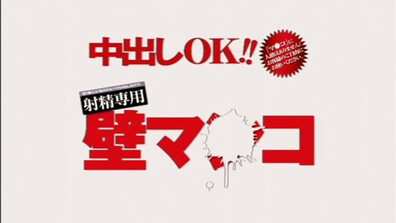 Rumika SDMS 806 - jav