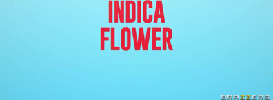 BrazzersExxtra Indica Flower Lucy Foxx Diner Vaginer - big_tits