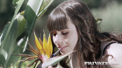 Luna Rival Anal Innocence - hot