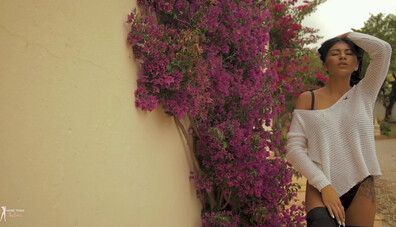 Jess Boulevard Blossomed - jess - boulevard - blossomed
