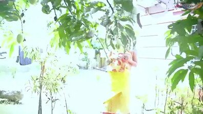Orchard Owner Uncut (2023) GoddesMahi Hindi Short Film - sapnasappu - tinanandy - tinadutta - sucharitabhattacharya - zoyarathore - kajalchauhan - jyotimishra - anmolkhan - fetish - blowjob