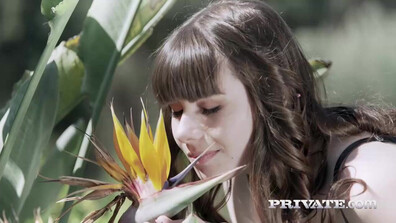 Luna Rival Anal Innocence 2 - threesome