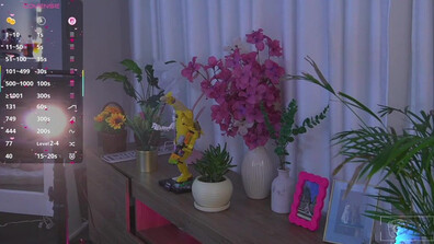 Lau 1Cu 2025 11 28 17 44 - webcam