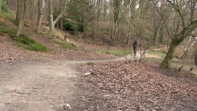 Histoires Vécues 10 1 - outdoor - forest