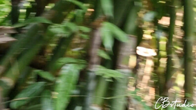 Cail Brodnevski Sex In The Jungle - blowjob - hardcore - amateur