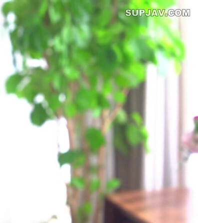 JUR 492 Ryo Aiyumi I'm Being Tamed By My Husband's Younger Boss And I'm His 'pet As - babe