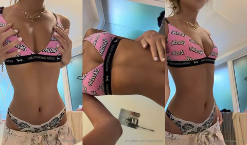 Ppwyang Sexy Underwear & Bra Tease