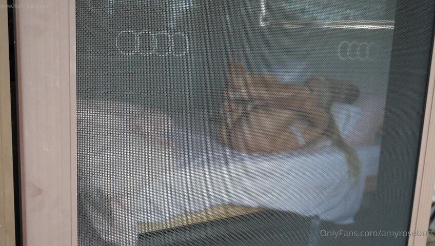 Fit Chick Amy - 14 February 2021 - Masturbating behind stupid door