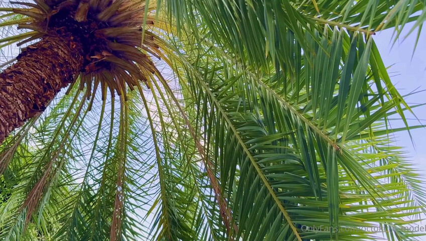 Octokuro - Hell's Paradise