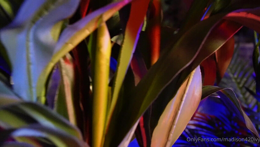 Madison Ivy - Poolside Service