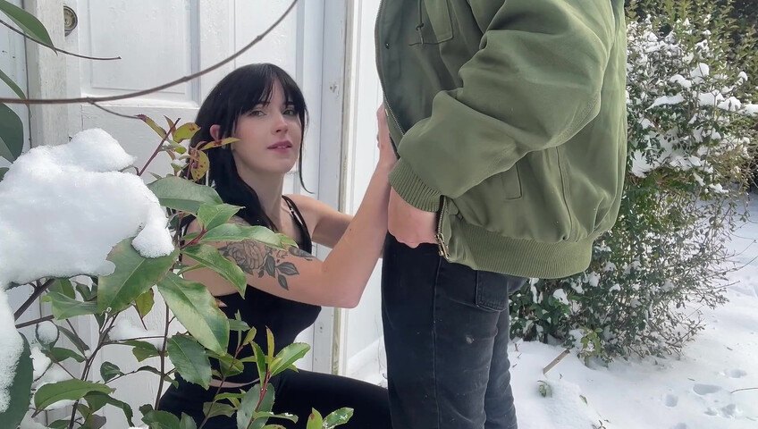 Frankiebunnie - 16 February 2025 - Snow Plowed​