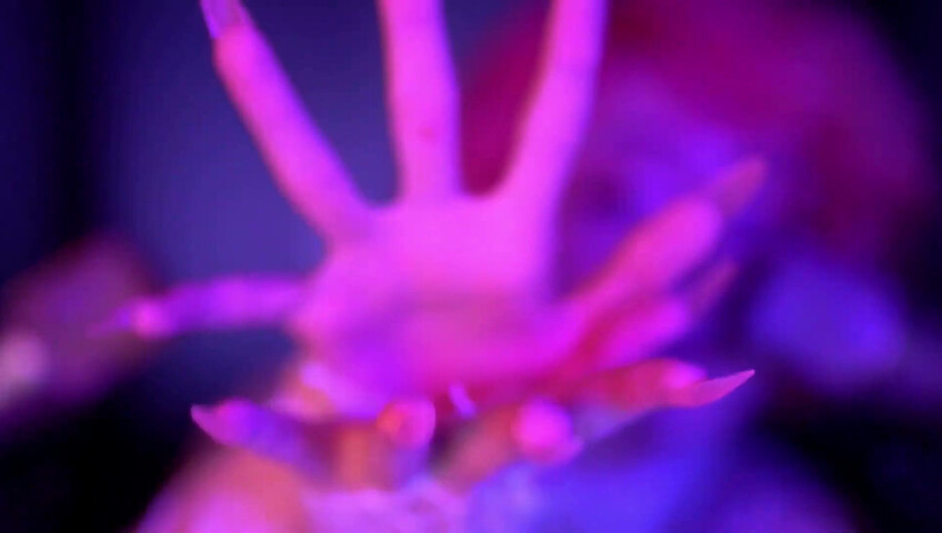 ASMR (Hypnotizing) Hand Movements & More for Visual Tingles