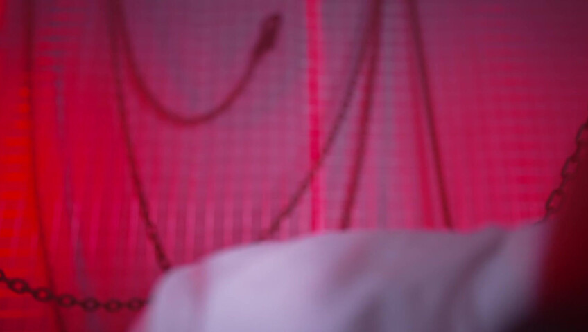 ASMR MOOD | Makima ❤️ Good Boy Dec | 28-12-2024