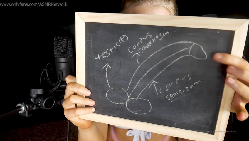 ASMR Network - Horny Teacher