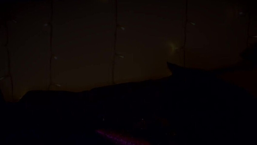 AftynRose ASMR - Blair is bored