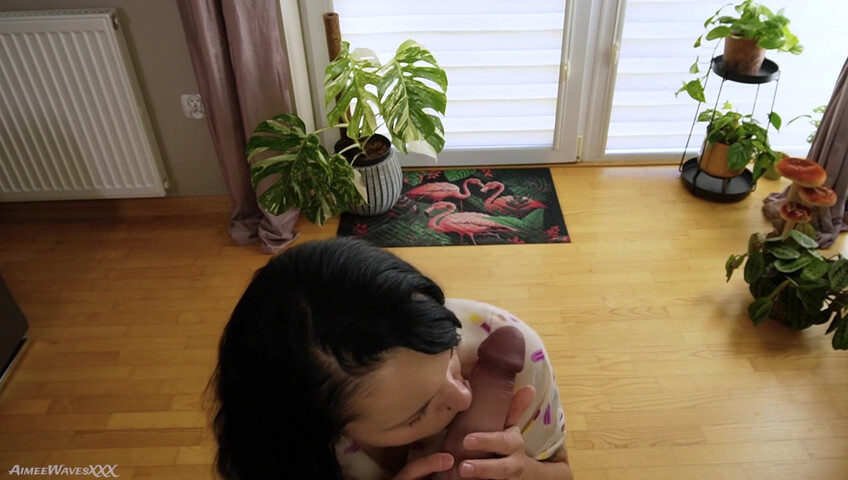 AimeeWavesXXX - Ruining Your Marriage