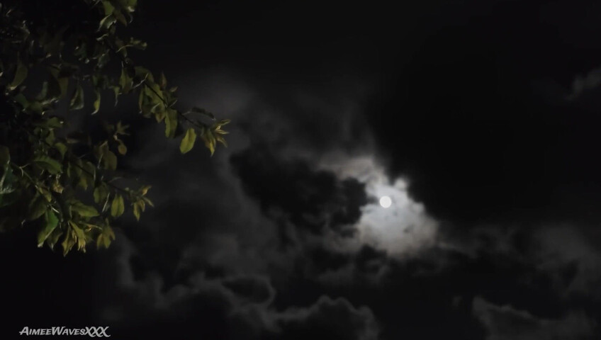 AimeeWavesXXX - Your Mother is the Only Woman for You